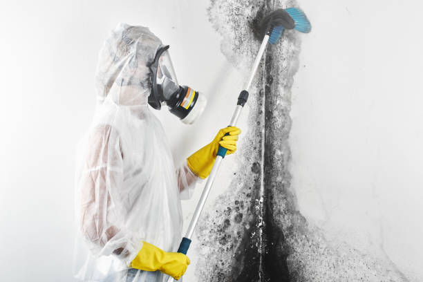 Best Biohazard Mold Removal  in Hopelawn, NJ