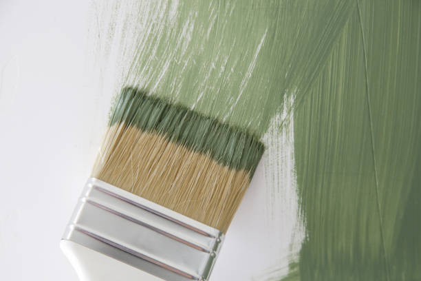 Professional Mold Removal in Hopelawn, NJ