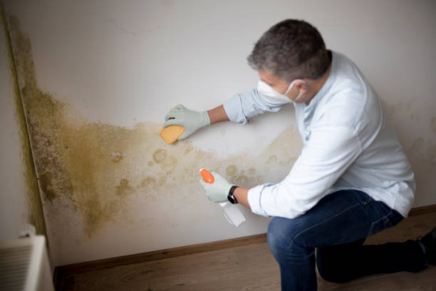 Best Emergency Mold Remediation  in Hopelawn, NJ