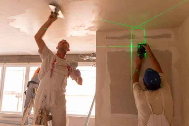 Best Basement Mold Removal  in Hopelawn, NJ