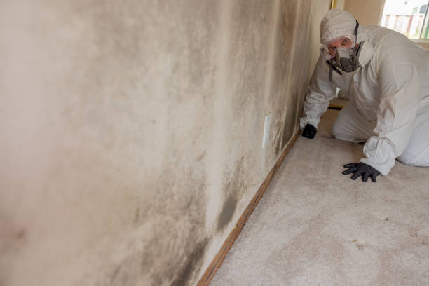 Best Residential Mold Inspection & Testing  in Hopelawn, NJ