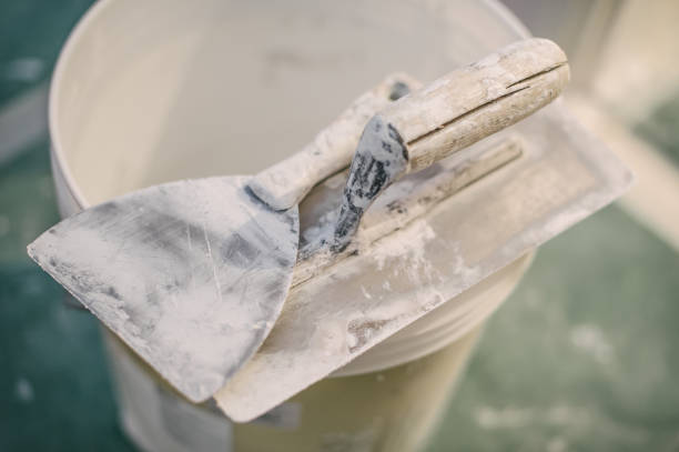 Best Attic Mold Removal  in Hopelawn, NJ